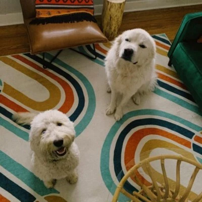 Teppich Handgetuftet 100% Neuseeland Wolle Handgetuftet Modern Design Carpet - Bild 1 von 2