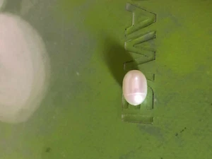 lindo A EE. UU. 7-8mm Barroco Blanco Precioso Perla Suelta Completo Perla - Imagen 1 de 1