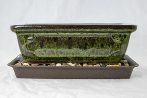 8" Rectangular Moss Green Bonsai Cactus Succulent Pot + Tray + Rock + Mesh Combo - Picture 1 of 11