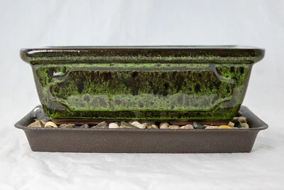 8" Rectangular Moss Green Bonsai Cactus Succulent Pot + Tray + Rock + Mesh Combo - Image 1 of 4