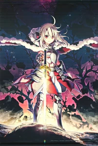 Prisma ☆ Ilya Licht Nameless Girl Advance Ticket Bonus Item B2 Tapestry - Picture 1 of 1