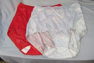 Shadowline 100% Shiny Nylon and Lace Brief Panty 2pr NWOT Size 7 Silver and Red - Picture 1 of 13