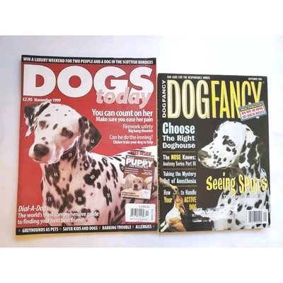 Dalmatian Cover Dog Magazines (3) Dog Fancy & Dogs Today Foto 1 de 2