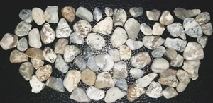 Chert Sodalite Stones-74 BeachWorn Naturally By U.S. Great Lakes At 3.5oz. Total - Picture 1 of 11