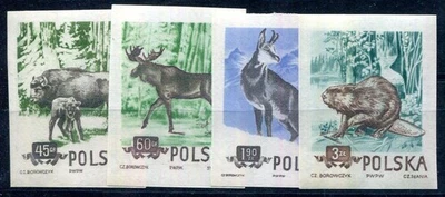 POLAND 1954 885-888B ** MNH FLAWLESS SET WILD ANIMALS UNPERFORATED (F6516 - Image 1 of 2