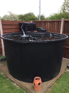Complete Koi Pond Setup - Picture 1 of 12