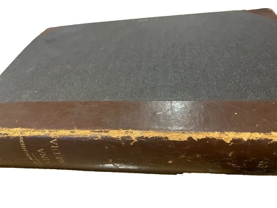 DIVINA COMMEDIA-COMMENTO BIAGIOLI-NUOVA EDIZIONE NAPOLITANA-RONDINELLA-META' 800 - Immagine 1 di 4