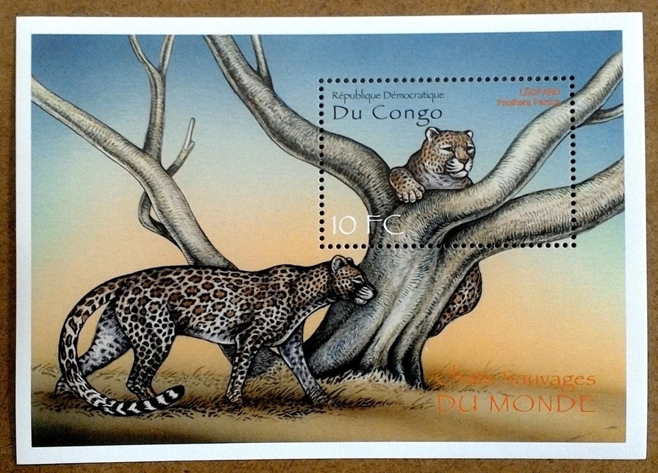 CLÁSICOS DE COLECCIÓN - Congo 2000 - Gatos salvajes, leopardo - Hoja de recuerdo - MNH Foto 1 de 1
