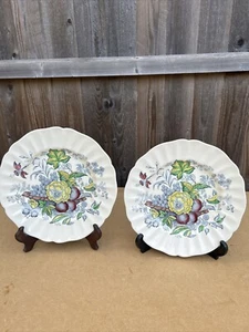 2 platos de cena vintage Royal Doulton The Kirkwood multicolores. - Imagen 1 de 15