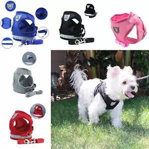 No Pull Puppy Dog Harness Vest with Reflective Stitching Adjustable Buckels - Picture 1 of 9