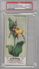 1920 Cowan Co. V20 Wild Flowers of Canada #3 Yellow Lady's Graded PSA 4.5