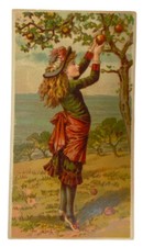 MERCHANT'S TRADE CARD GOODYEAR'S RETAIL RUBBER WAREHOUSE, NEW YORK 1880'S