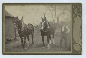 2 schwere Pferde & Bauer ländliches Schottland um 1900 Kabinettkarte #2 - Bild 1 von 2