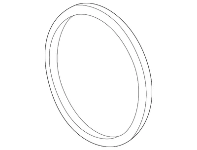 Junta tórica bomba de agua GM 90354908 genuina Foto 1 de 3