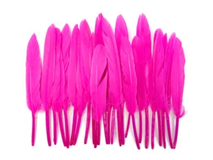 40 Federn - Hot Pink gefärbte Ente Cochettes Cosse lose Flügel Feder Bastelbedarf - Bild 1 von 8