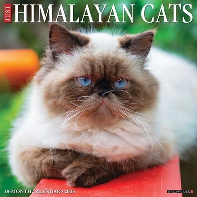 Just Himalayan Cats 2025 12" x Wall Calendar  - Image 1 of 4