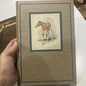 THE RED PONY by John Steinbeck/1st Illustrated Edition/HC/Chldrens/Illustrated - Picture 1 of 6