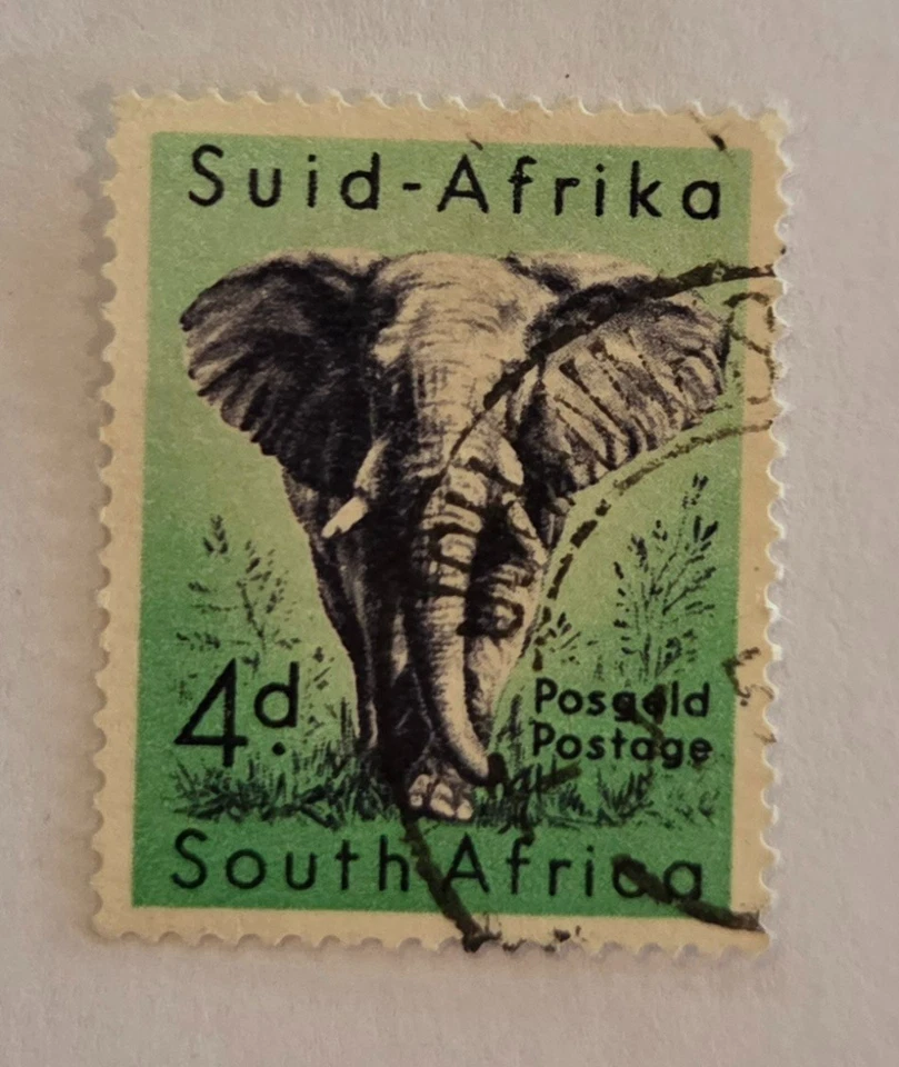 SUID AFRIKA - ELEFANTE - 4P - EDICIÓN 1954 Foto 1 de 1