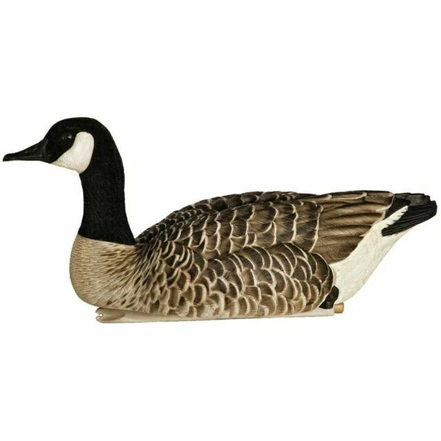 Avian-X AVX9040 Topflight Honkers Hunting Goose Decoy