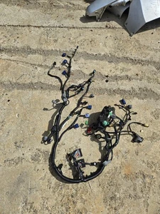 BF 200 hp Honda main wire harness 32100-ZY2-H01 electrical Four Stroke B3 - Bild 1 von 5