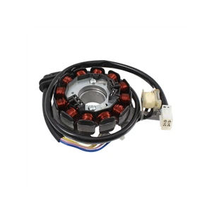 Statore 12 poli Minarelli Am6 R.o. 8205014 HM-Vent - Imagen 1 de 1