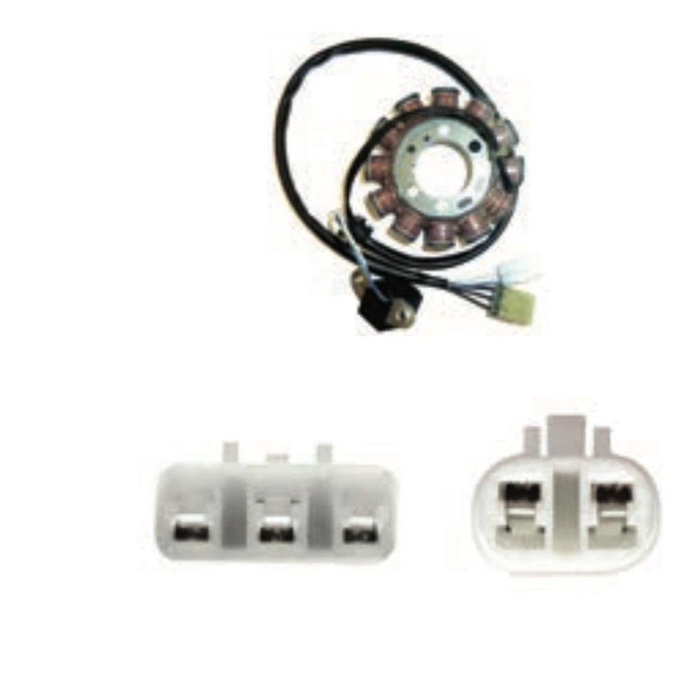 Statore Per Husqvarna TC 310 2011/ TC 250 2011 Foto 1 de 1