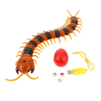 Télécommande Animal Centipède Drôle Jouets Cadeau pour Enfants - Photo 1/4