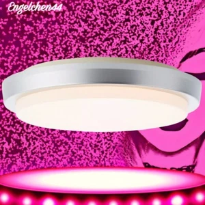 Outdoor LED Deckenlampe Wandlampe Außen Garten Lampen Brilliant Leuchten Devora - Bild 1 von 7