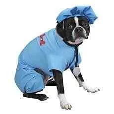 ER Doctor Dog Costume - Image 1 of 1