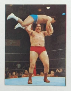 Yamakatsu Andre the Giant #25 Pro Wrestling Card 1974 NJPW - Picture 1 of 2