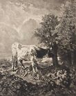 Constant Troyon La Vache Blanche Barbizon Par Charles Pinet Hliogravure C 1910