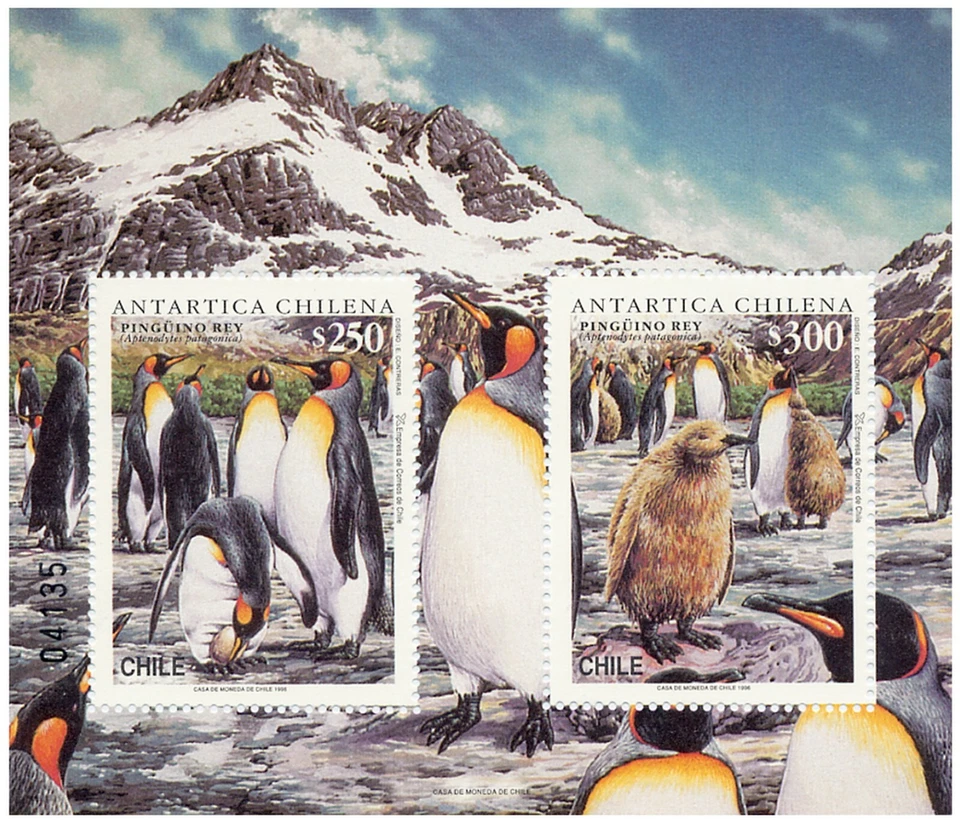 Чили 1996 Bk67 Block Antartica Chilena Антарктическая Дикая природа Королевские Пингвины (V126) - Изображение 1 из 1
