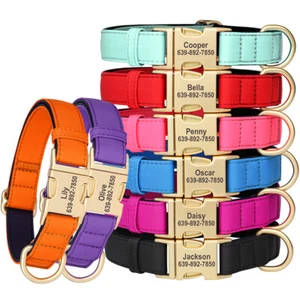 Personalized Dog Collar for Small Large Pets Padded Engraved Name ID Phone Tag - Picture 1 of 24