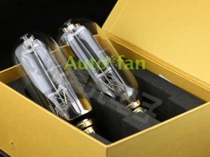 2Pcs./Lot New Matched Pair SHUGUANG WE211 Electron Tube - Picture 1 of 5