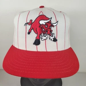 Vintage Tucson Toros New Era 5950 Fitted Cap Size 7 Pro Model MiLB Pinstripe - Picture 1 of 13
