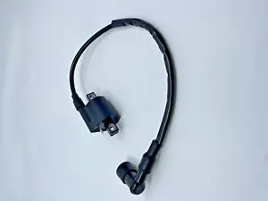 ZÜNDSPULE HT LEAD YAMAHA YFM 80 250 350 400 450 ABZEICHEN MOTORRAD 4 BRUIN KODIAK - Bild 1 von 5