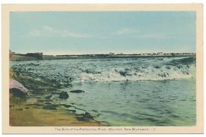 Tidal Bore Of The Petitcodiac River Moncton New Brunswick NB PECO Postcard - Picture 1 of 2