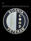 Bosnia SFOR Veteran Colours Lapel Pin (C75)