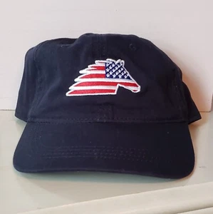 Norfolk Southern Thank A Railroader Baseball Hat Cap Adjustable Adult One Size - Picture 1 of 7