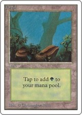 1x Light Play, English Regular Forest (Rocks) Unlimited