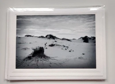 Cartão fotográfico Dunas de Areia de Cape Cod, P&B, em branco, vendido pelo artista - Imagem 1 de 4