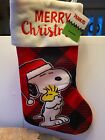 Peanuts Stocking Edition Snoopy and Woodstocks Christmas Extravaganza