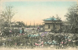 c1910 Kamata Tokyo Japan hand colored Iris Garden Postcard 25-11375 - Picture 1 of 2