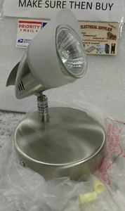 Trans Globe Lighting W-470 BN CEILING LAMP (8H2 - Picture 1 of 11