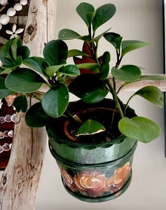 Vintage German Hand Made Wooden Tub Planter Painted Floral Tole Green, Folkart - Picture 1 of 8