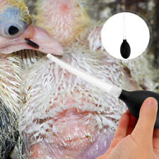 Small Bird Nursing Dropper Feeder Tube - Pet Pigeon Weaner