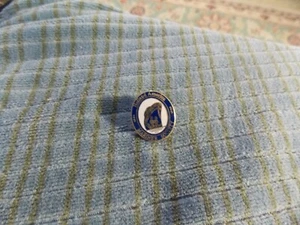 Vintage HOLLAND AMERICA LINES 25 Day MARINER SOCIETY 5/8" LAPEL PIN Collector VG - Picture 1 of 2