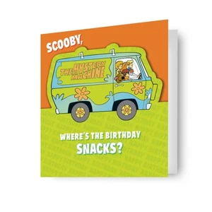Warner Bros Scooby Doo Birthday Card - Picture 1 of 4