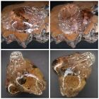 Old Chinese Fine Carved Crystal Quartz Dragon Turtle Statue Figured Detail 
