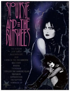 Siouxsie and the Banshees 10x13 Poster 1976 RP Punk Band Musik Druck - Bild 1 von 1